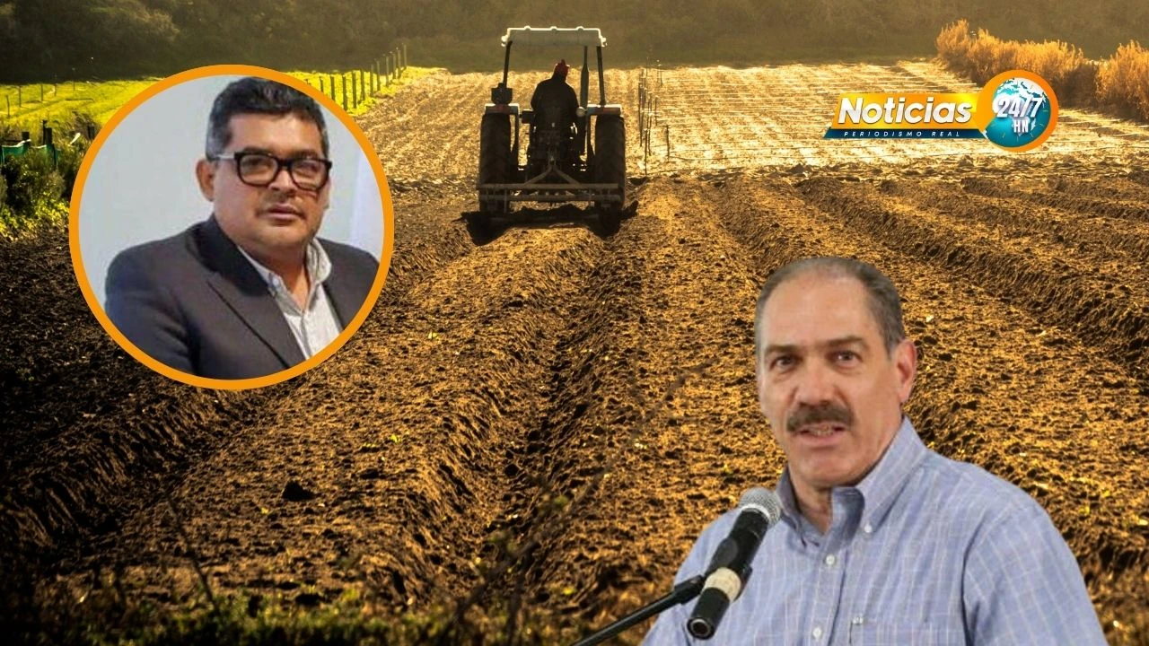 Mas De 400 Mil Hectareas Sin Cultivar En Honduras Por Falta De Apoyo Gubernamental