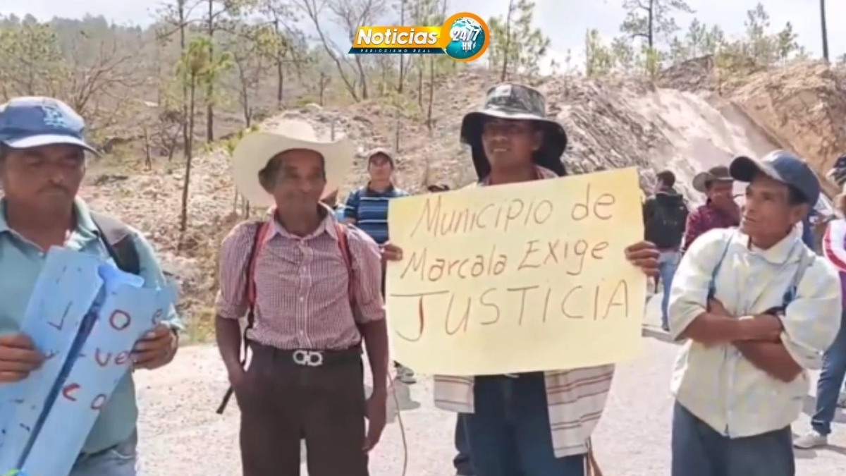 Video La Porqueriza De La Discordia Vecinos De Marcala Toman La Ca 11 Exigen Justicia Y El Cierre De La Granja De Cerdos 3