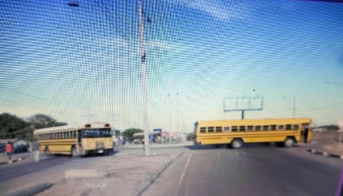 Img 20250410 064950